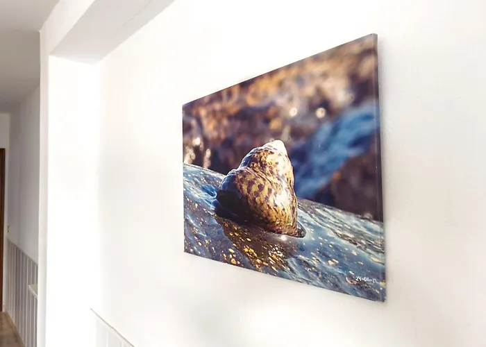 Agua Viva * Playa Quemada