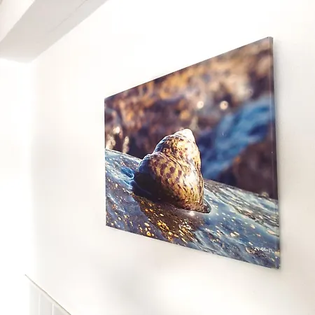 Agua Viva * 플라야 케마다